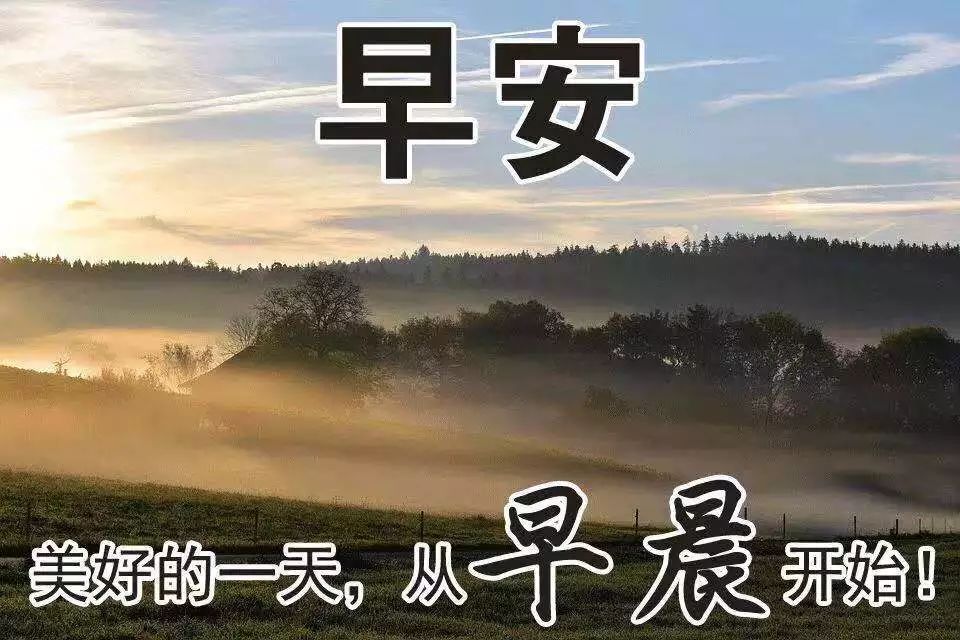 支付寶撒幣15億引發(fā)全民“薅羊毛”，民間文案真是哈哈哈哈哈